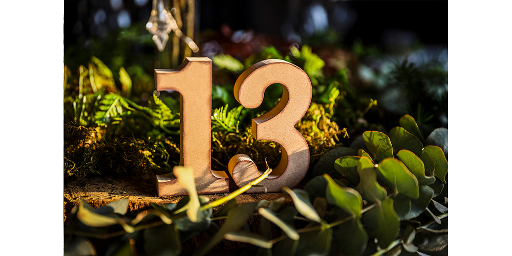 SHO_1980